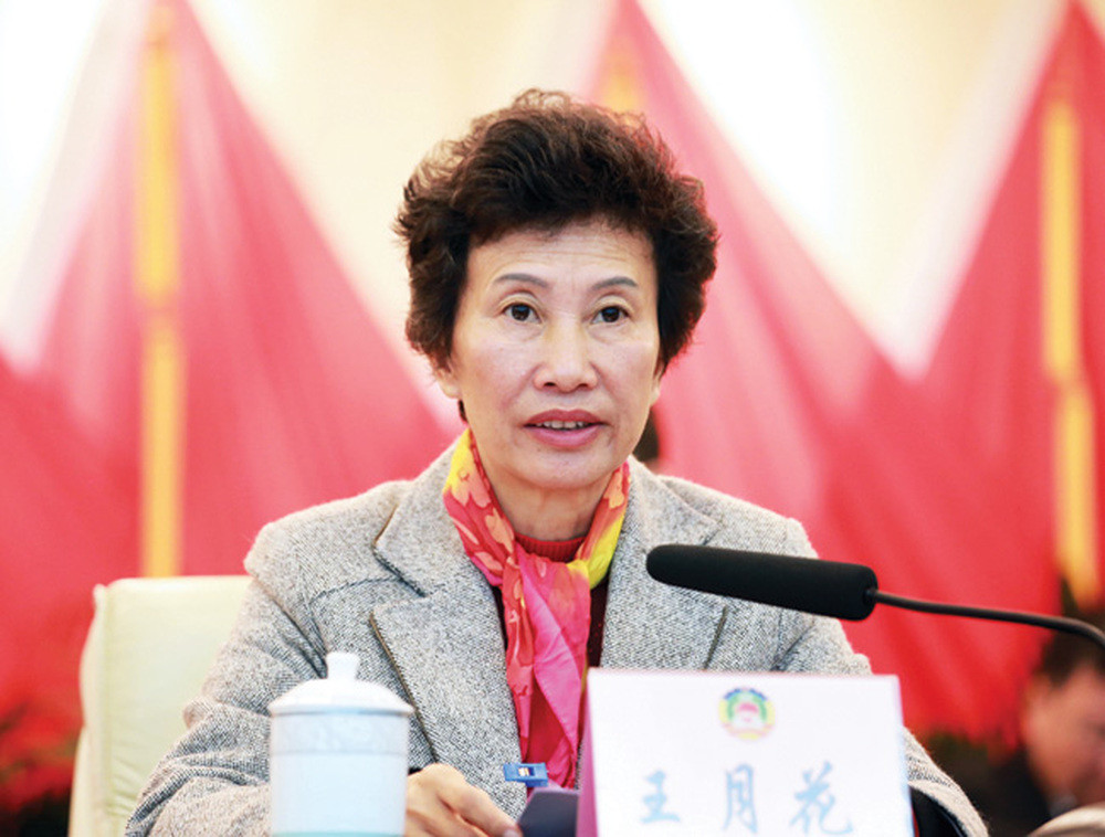 66岁王月花, 接受纪律审查和监察调查