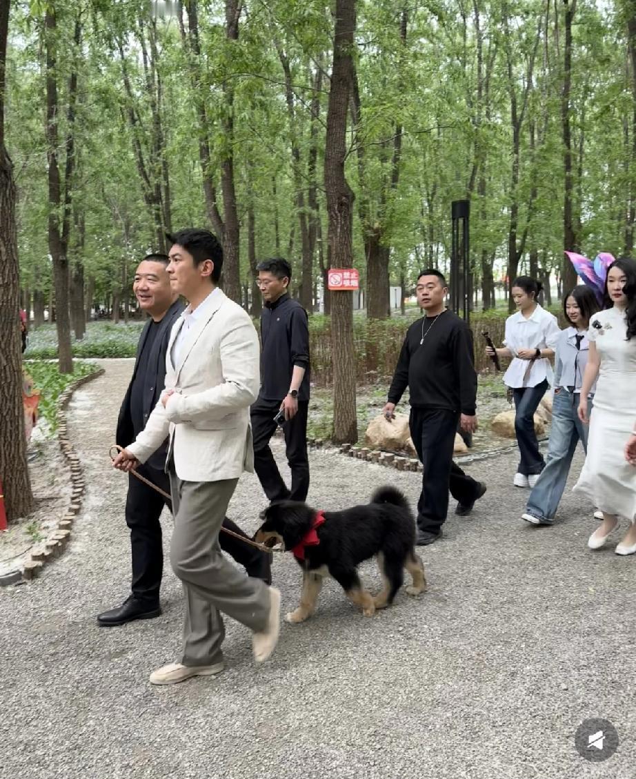 4月25日，霍思燕与杜江现身北京平谷桃园里的欢乐田园，两位拉着救助的狗狗，霍思燕
