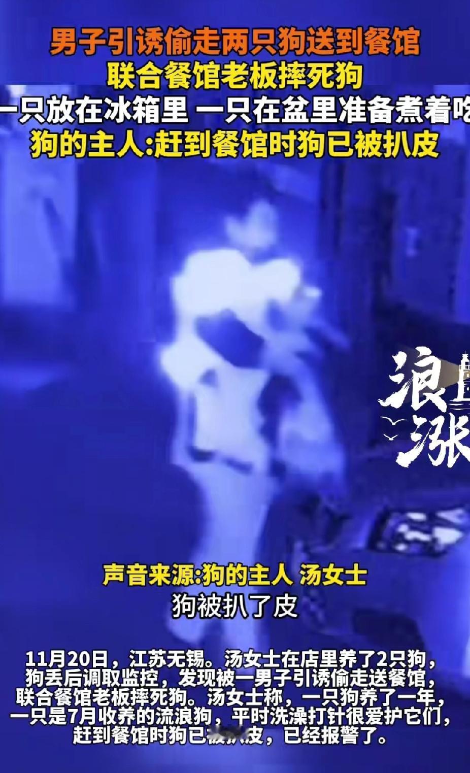 太残忍了！都2025年了，还有这种偷狗卖狗肉的行为，本来这是我小的时候经常发生这