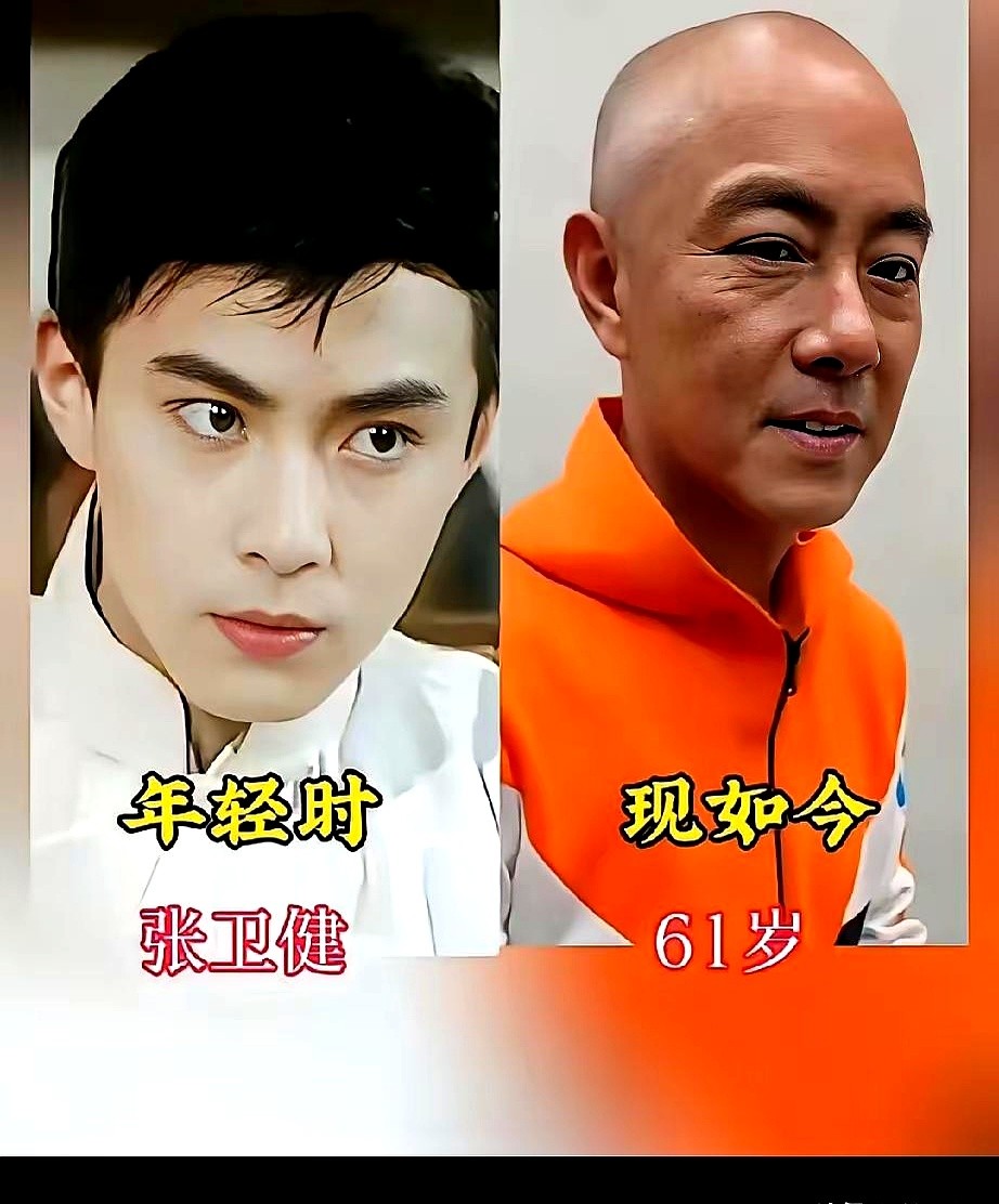留着头发的张卫健，这张脸拿出来，现在的男星得集体沉默。他刚出道那会儿，往镜头前一站，根本不需要说话，