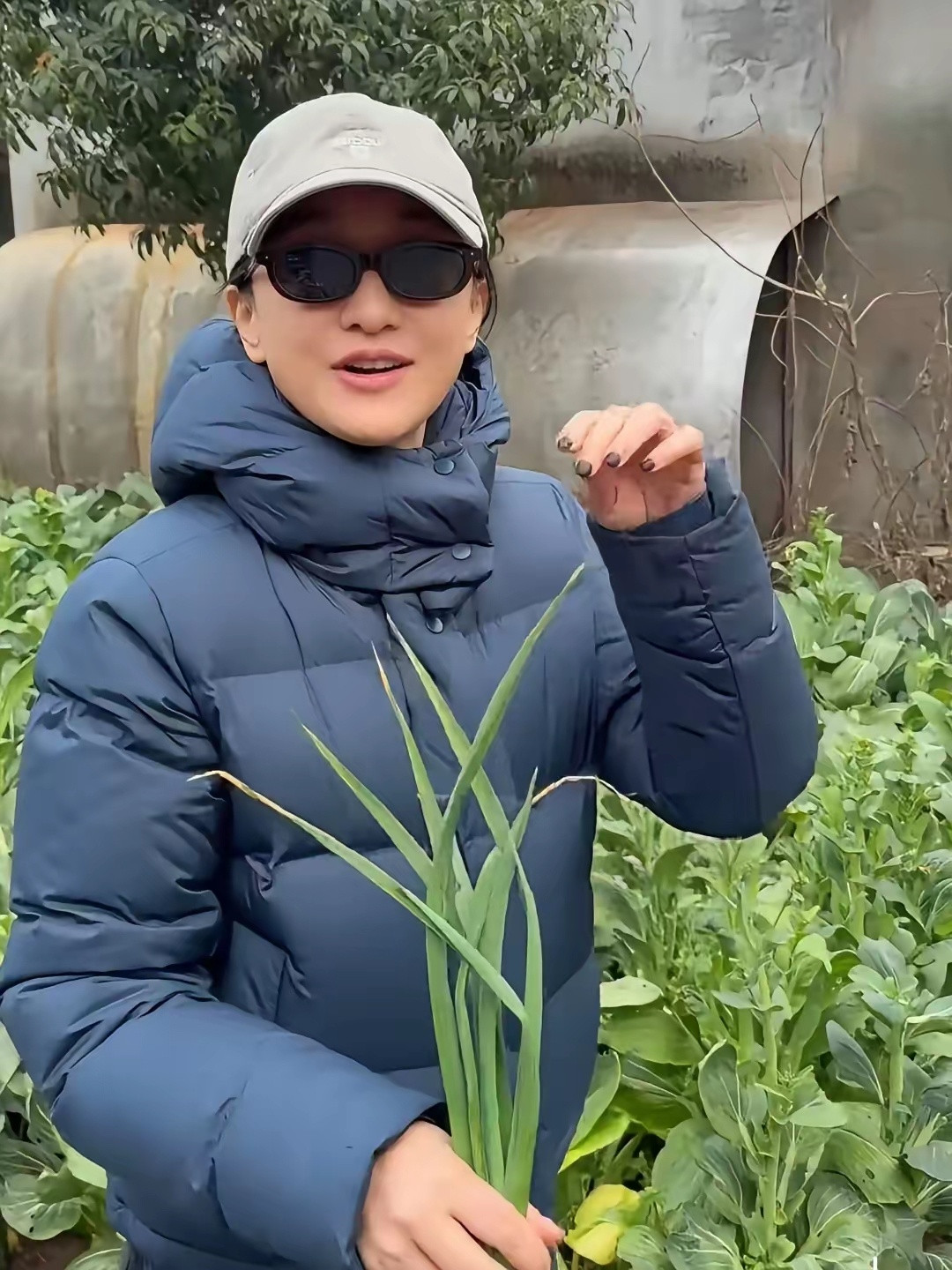 52岁周迅回浙江老家农村探亲，亲自到地里摘菜，她穿着一身名牌衣服，和周围的环境格