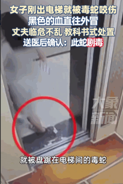 “防不胜防！”近日，重庆一女子乘坐电梯外出，可刚出电梯门，就感觉脚被什么东西扎了