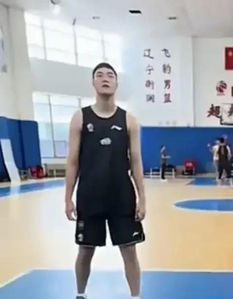这就是辽宁男篮这个夏天的地震级别交易吗？现在签下17岁的于善元，只能说辽宁男篮是