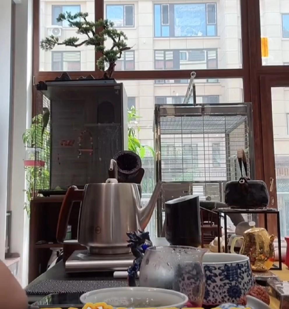 T佑说现在的互联网网红不值钱，价值太便宜了！T佑说自