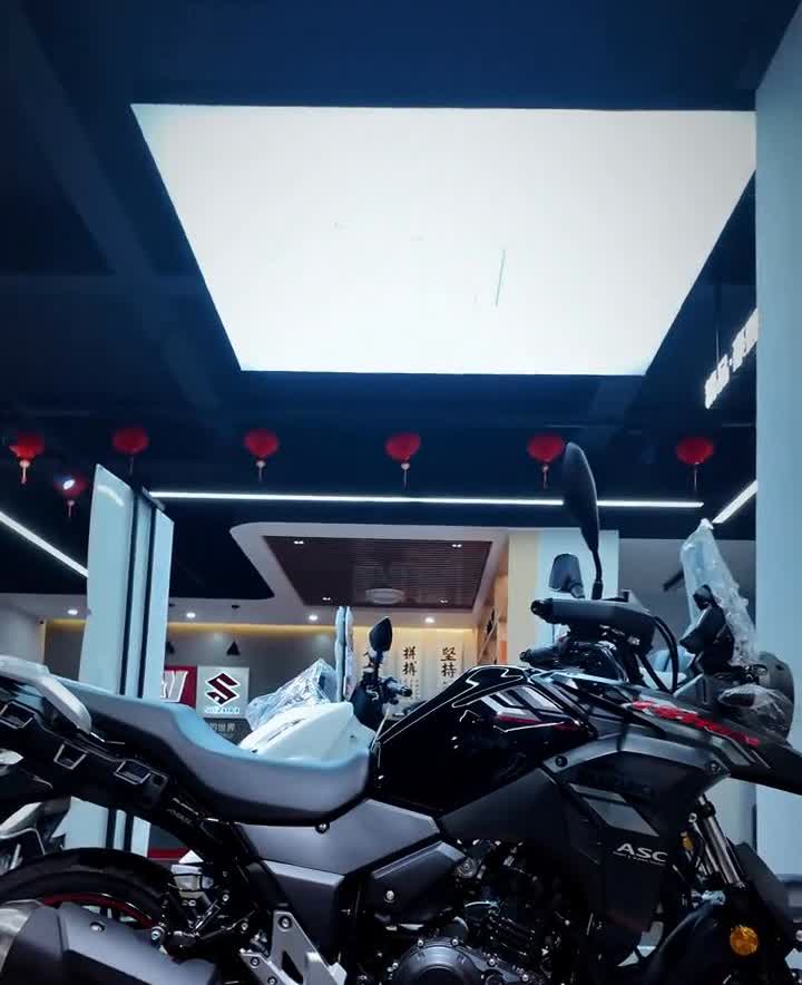 东莞豪爵铃木DL250。不配三箱的拉力车，跑不快的拉力车，开不坏的拉力车，铃