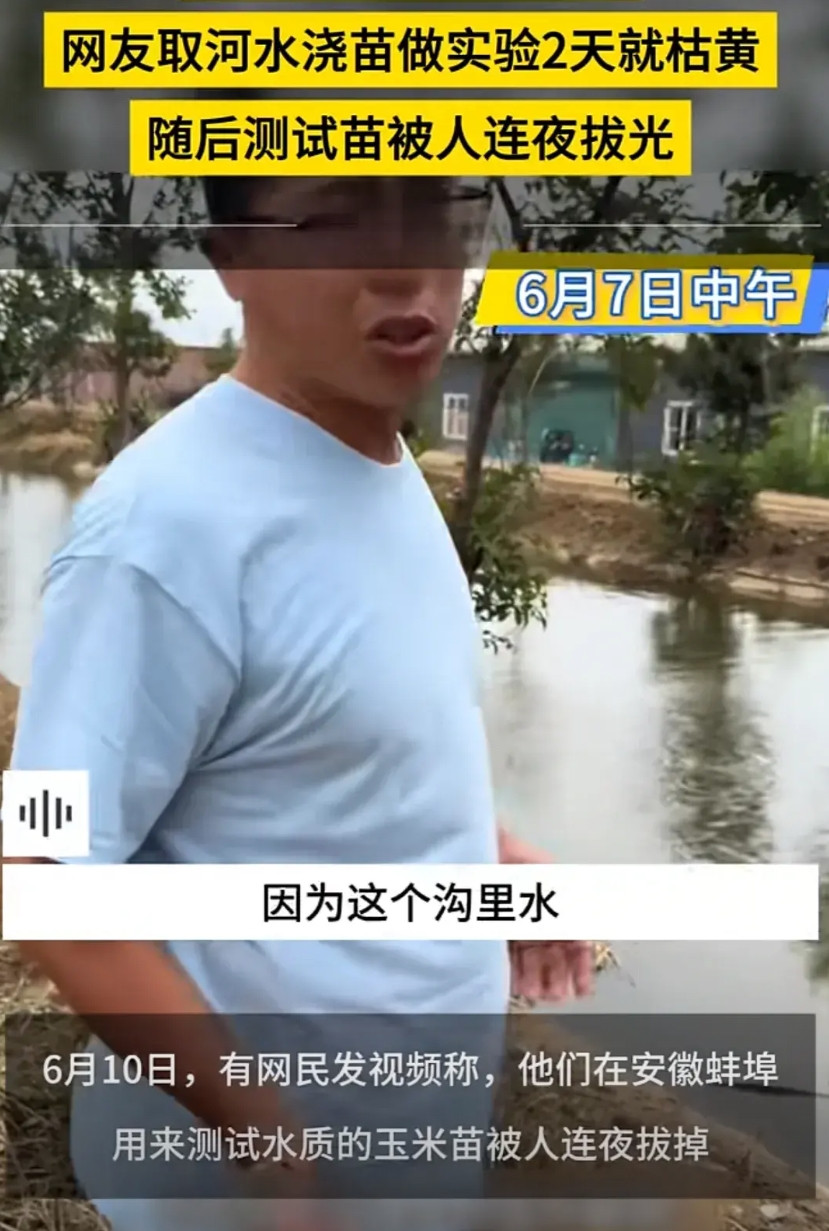 我解决不了水质，但我能毁尸灭迹！安徽蚌埠一地被曝水污染，网友取河水浇苗做实验2天