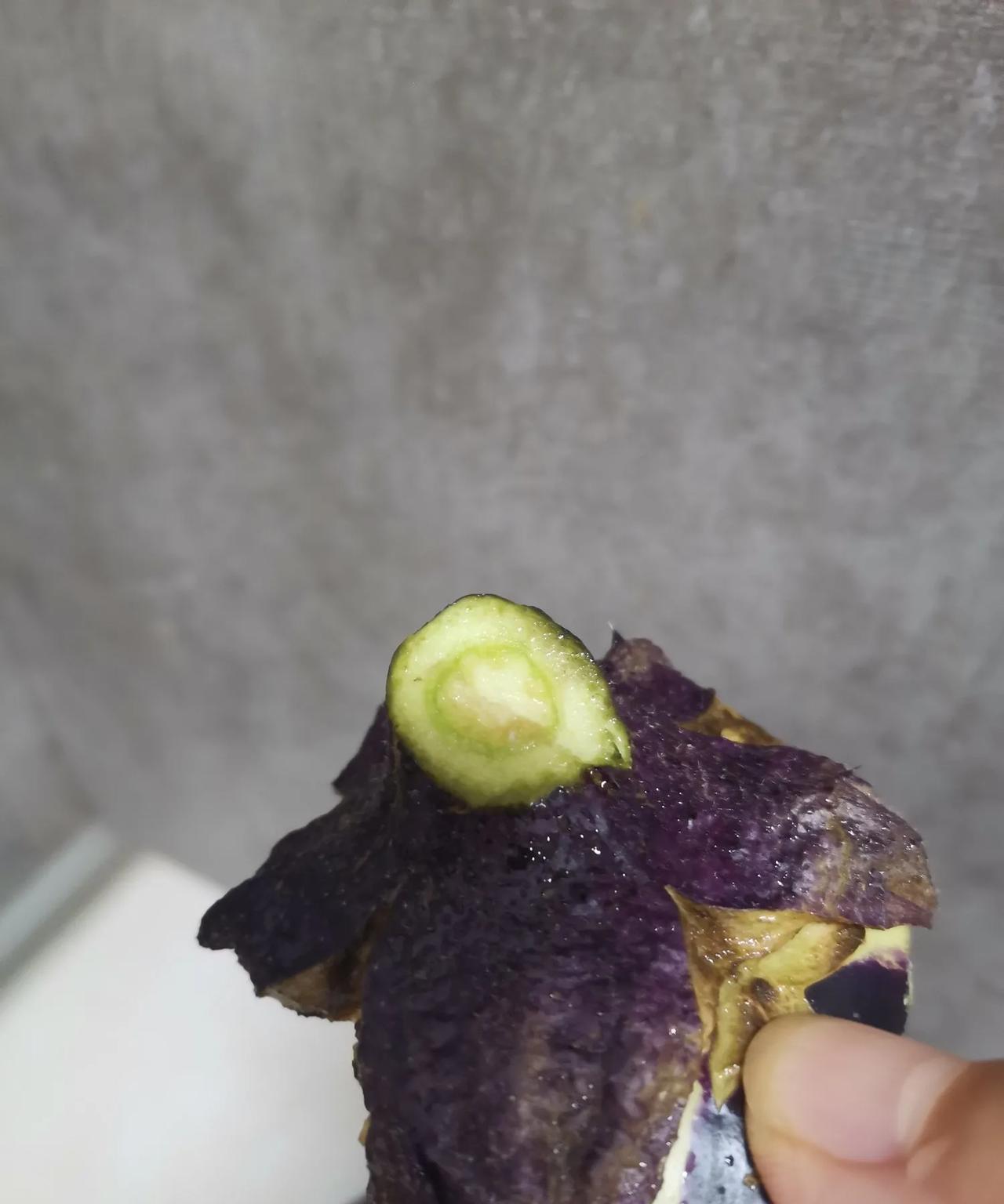 今天切下茄子蒂的一瞬间，我想起来，小时候家里做茄子，这个茄子蒂是不扔的，而且人们