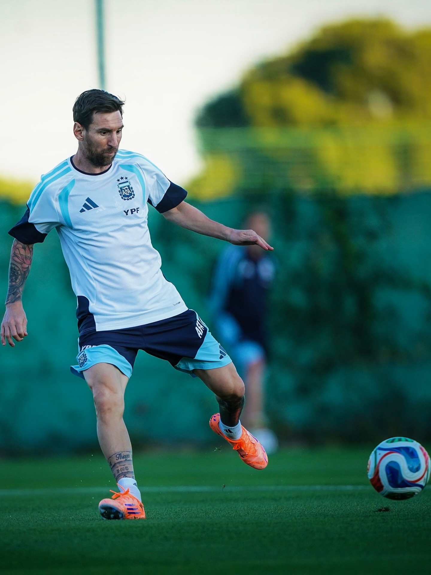 今日份训练的梅梅