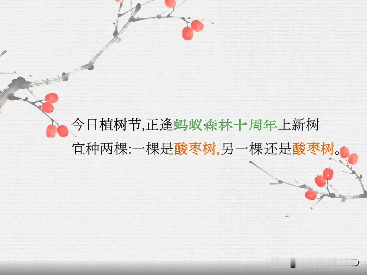 逢蚂蚁森林10周年上新树！满怀欢喜种下两棵酸枣树...一棵予你，一棵送给自己