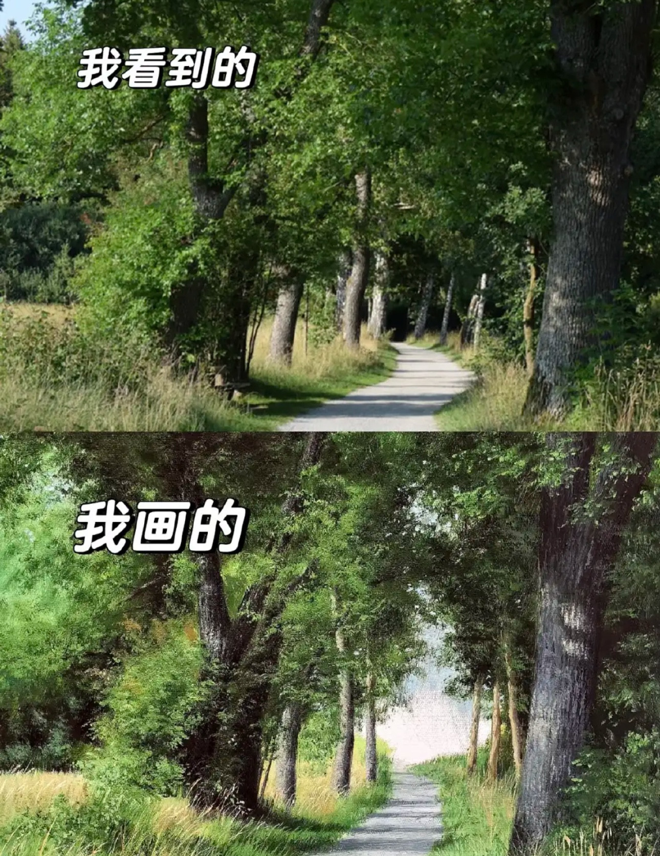 美术生毕业，请问这是什么水平
