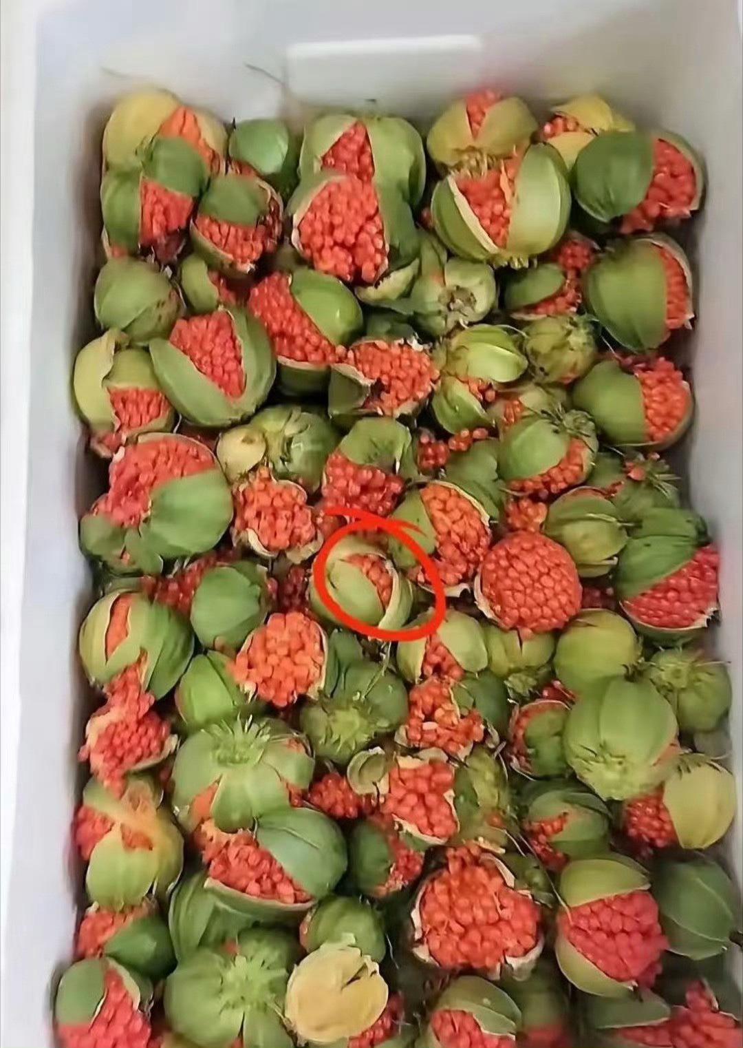 闺蜜寄过来的，有知道这是什么的吗