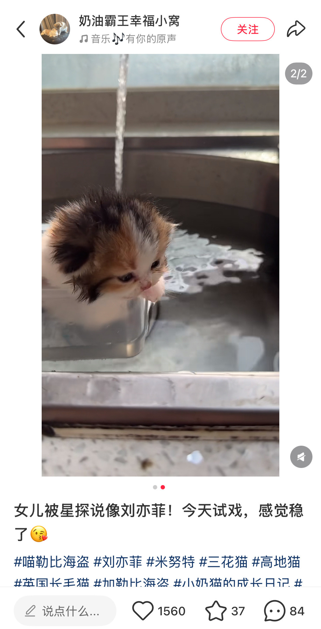 网友们：我家女儿被星探说像刘亦菲，先出道一步～