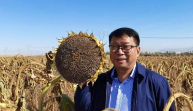 我国工程界大乌龙事件！2009年，重庆大学教授易志坚在研究物质力学时，意外发现了