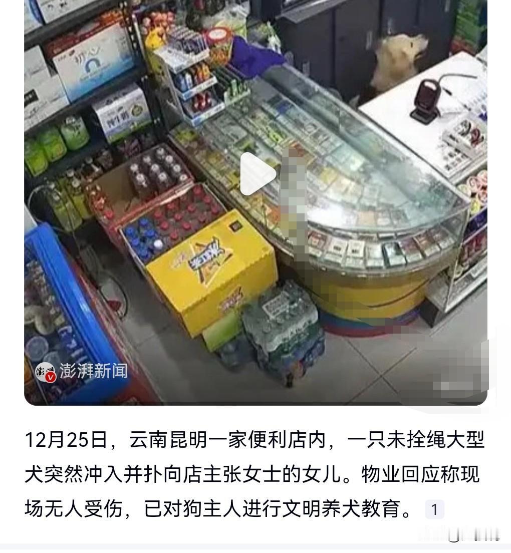 遛狗一定要牵绳，这是最起码的人品和道德。不要给别人造成麻烦，这是最大的善良。