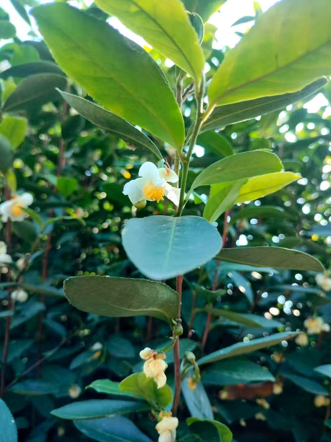 人有钱了真别飘。我小姑几年前发了一笔大财，差不多上千万，不到一年就挣到这些