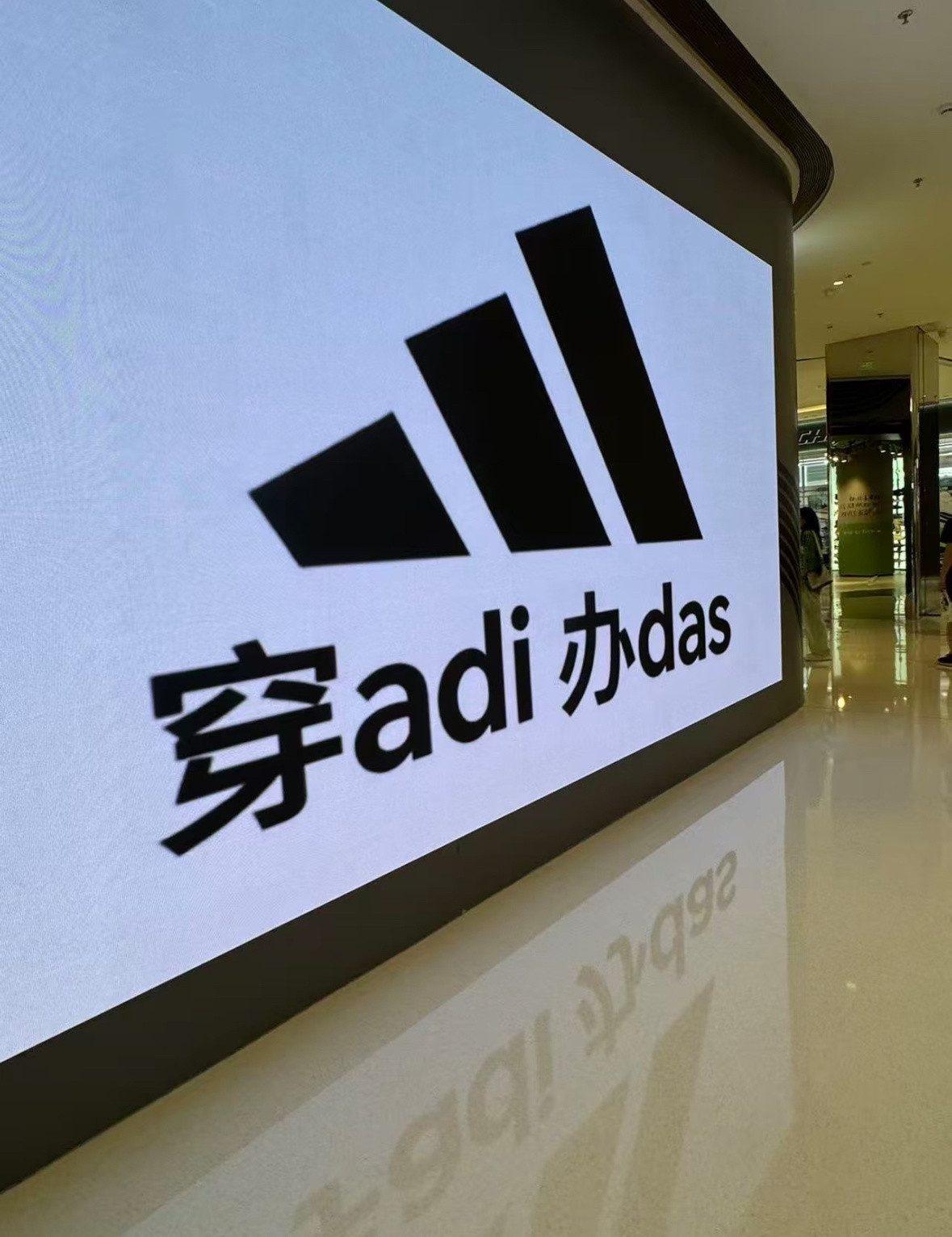 哈哈哈哈哈阿迪是不是疯了啊！