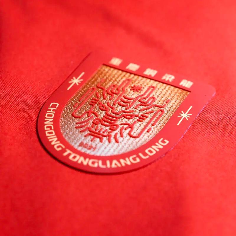 川渝德比，明年见！重庆铜梁龙2：0战胜上海嘉定汇龙，凭借胜负关系力压广州豹，惊