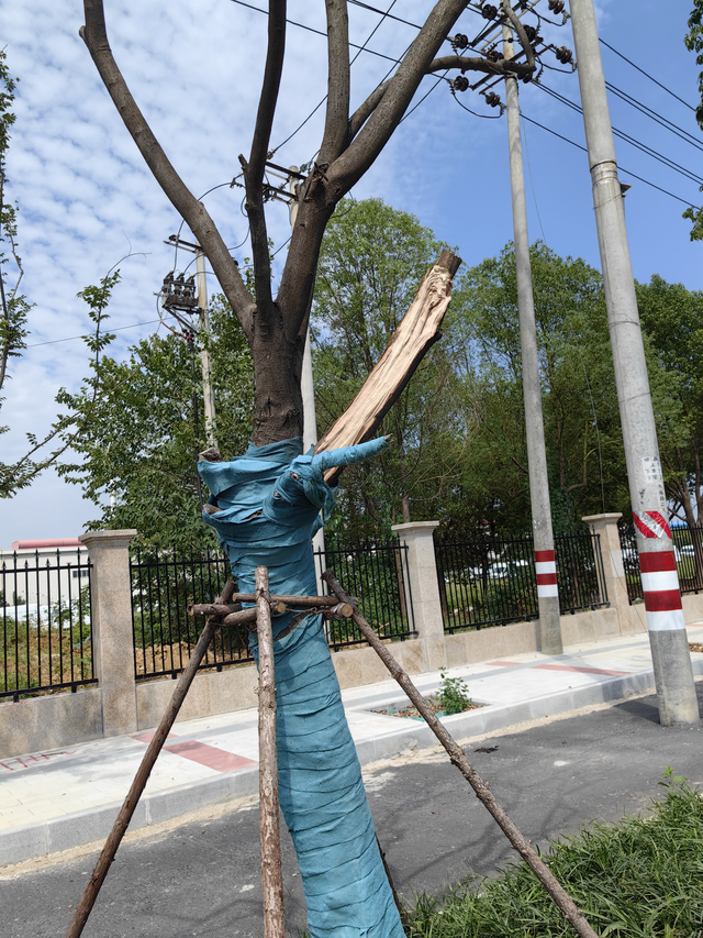 没想到第一天出4儿子店就一血刚出4儿子店，销售问我要不要合影，我说算了吧，这也