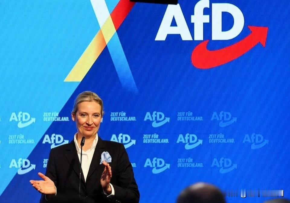 德国家族企业协会宣布终止对极右翼政党德国选择党的政治隔离措施，标志着德国商界对极