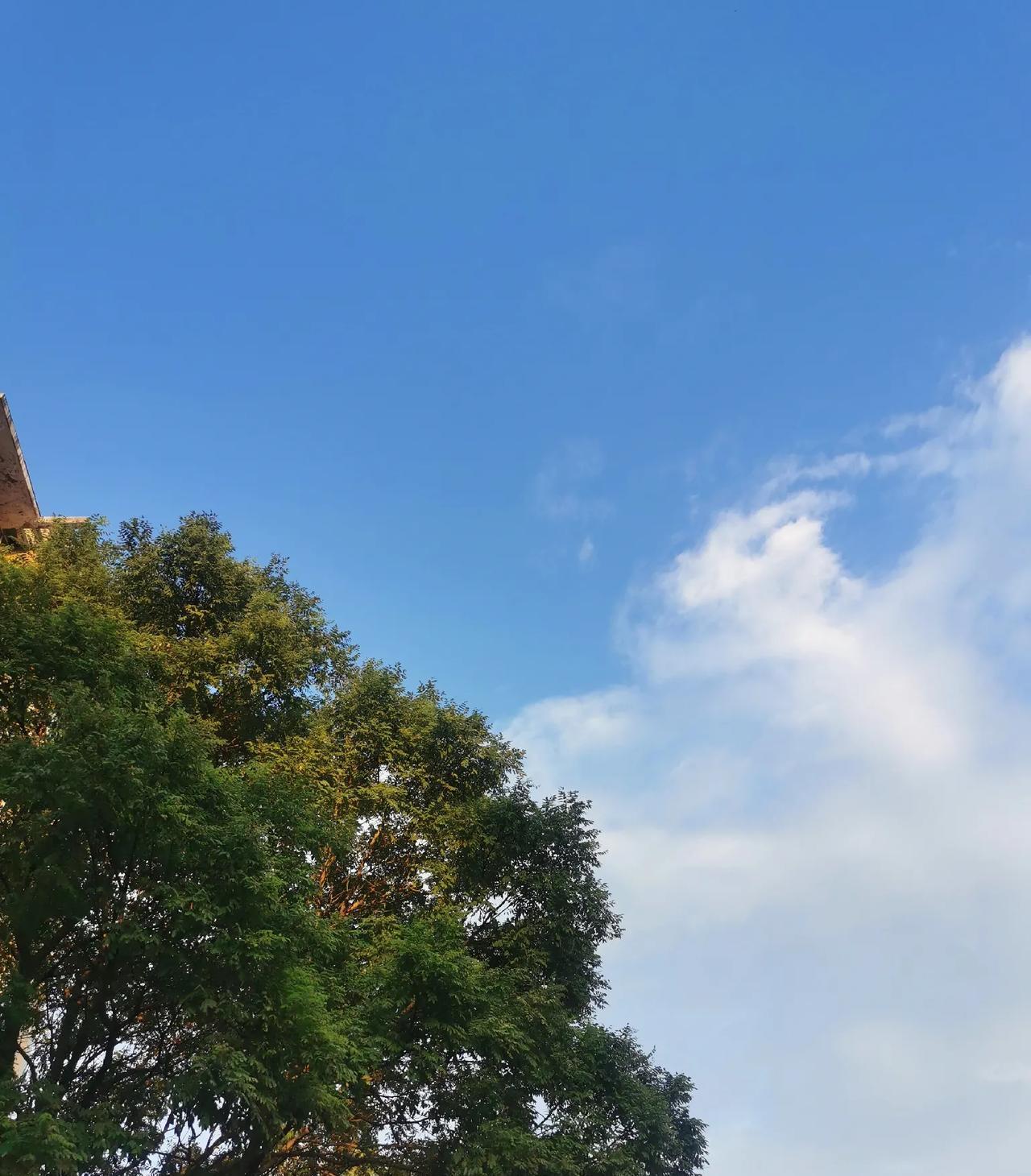 #敢不敢把你们的天空照上传呢#
