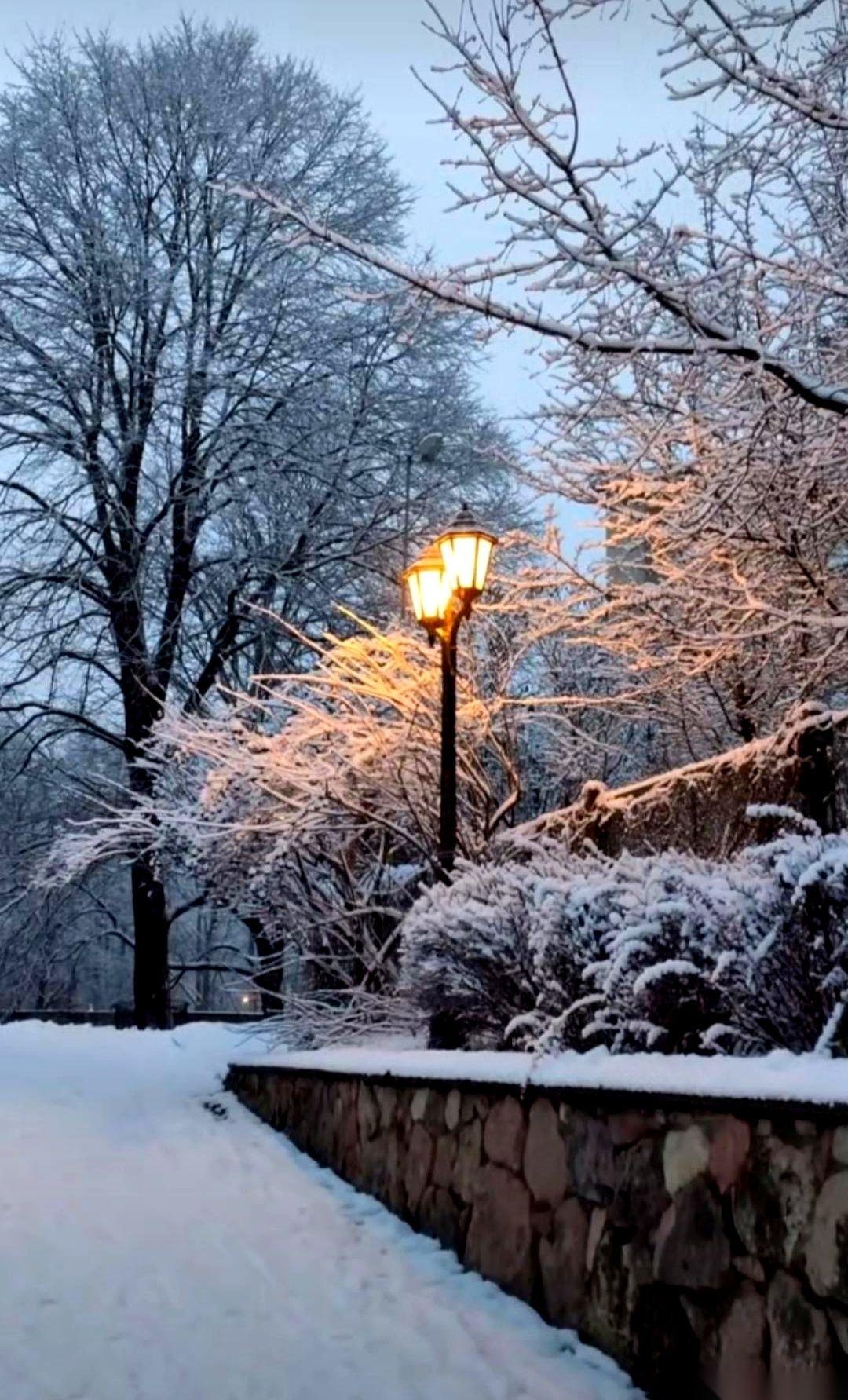 我算是看明白了，有些家，根本不是什么避风港。它就是风暴本身。而那个风暴眼，就