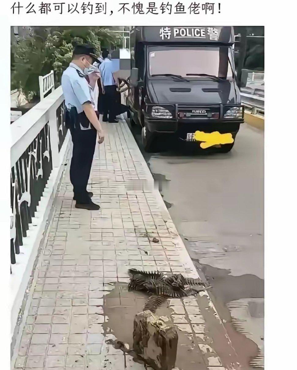 除了鱼什么都能钓到，不愧是钓鱼佬！