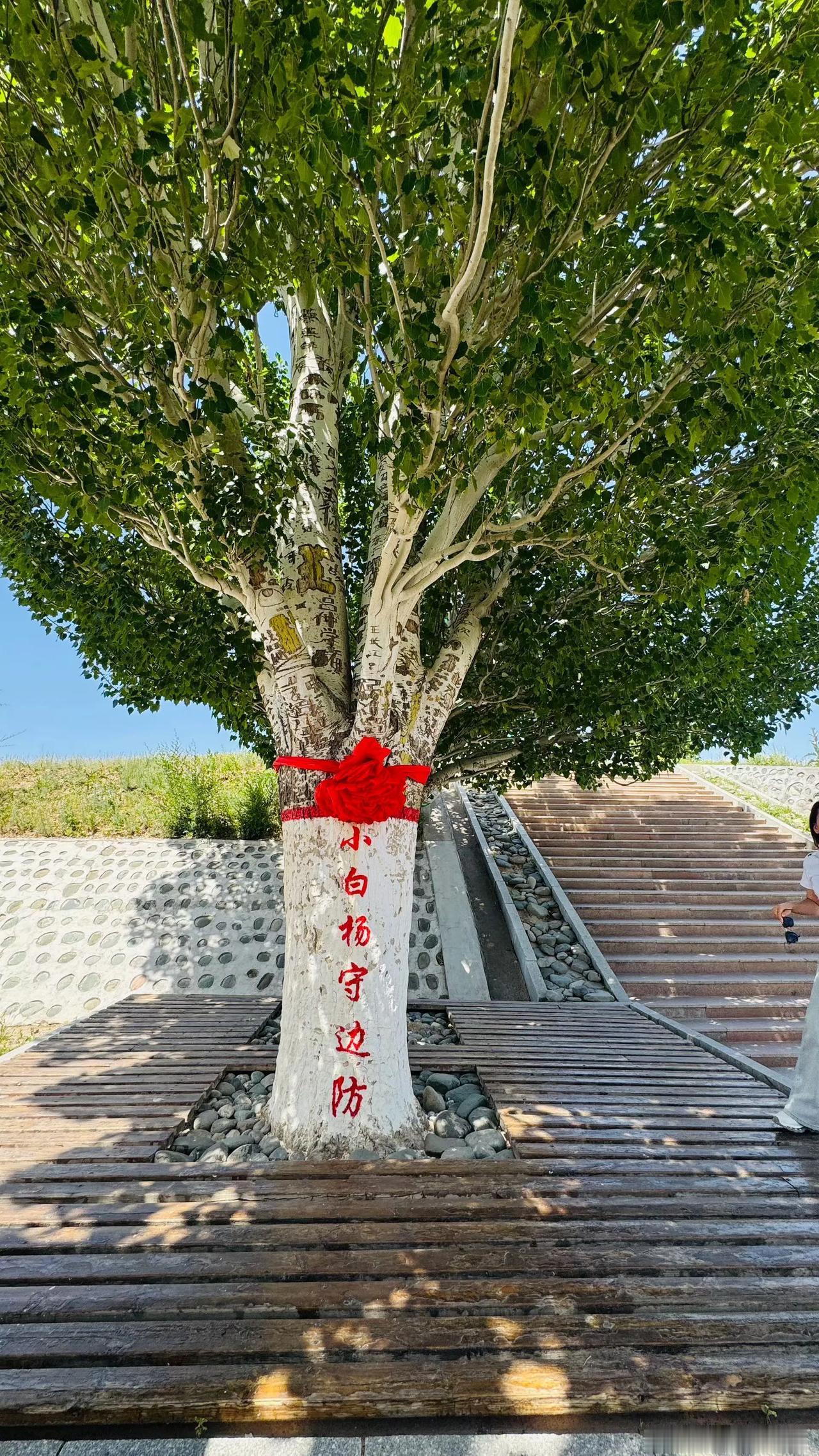 《良陈美锦》剧情：重生嫡女逆袭，携手权臣改写命运古装剧《良陈美锦》（任敏、