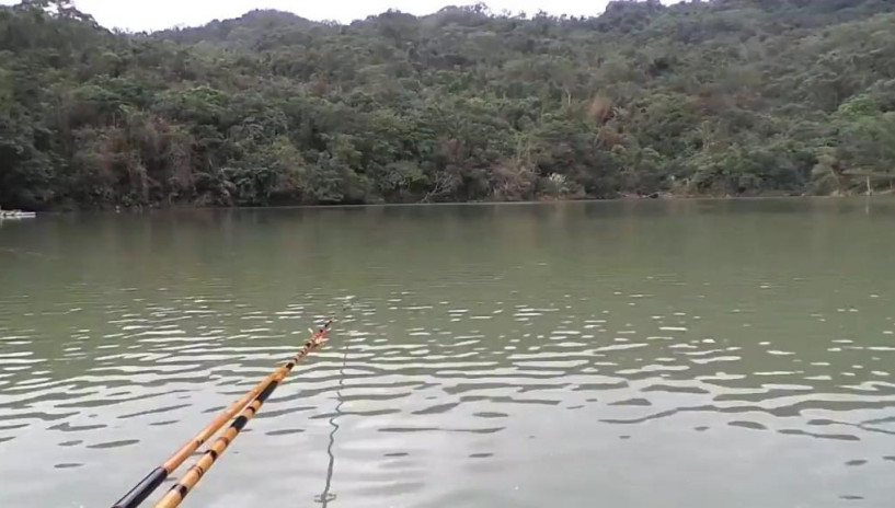 钓鱼: 水库钓鱼,发现个野钓大鲫鱼的好窝子