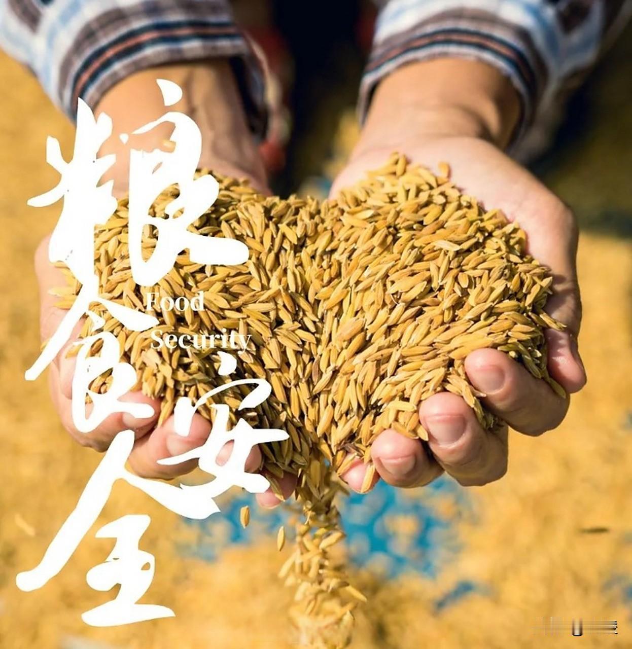 中国该怎么办？9月17日，印度推倒了2026年粮食危机的第一块多米诺骨牌：大米减