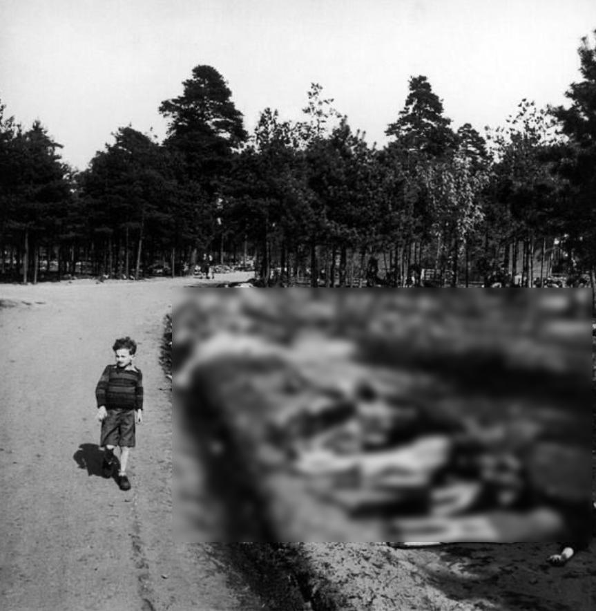 波兰人阿卡迪乌什·齐莫赫（ArkadiuszCimoch）发布了一张摄于19