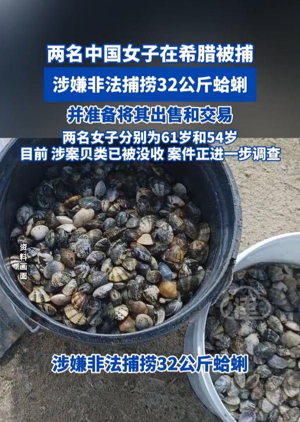 两个中国老阿姨，在希腊旅游时被抓！原因是“贪小便宜”，在海岸捡了32斤蛤蜊准备出