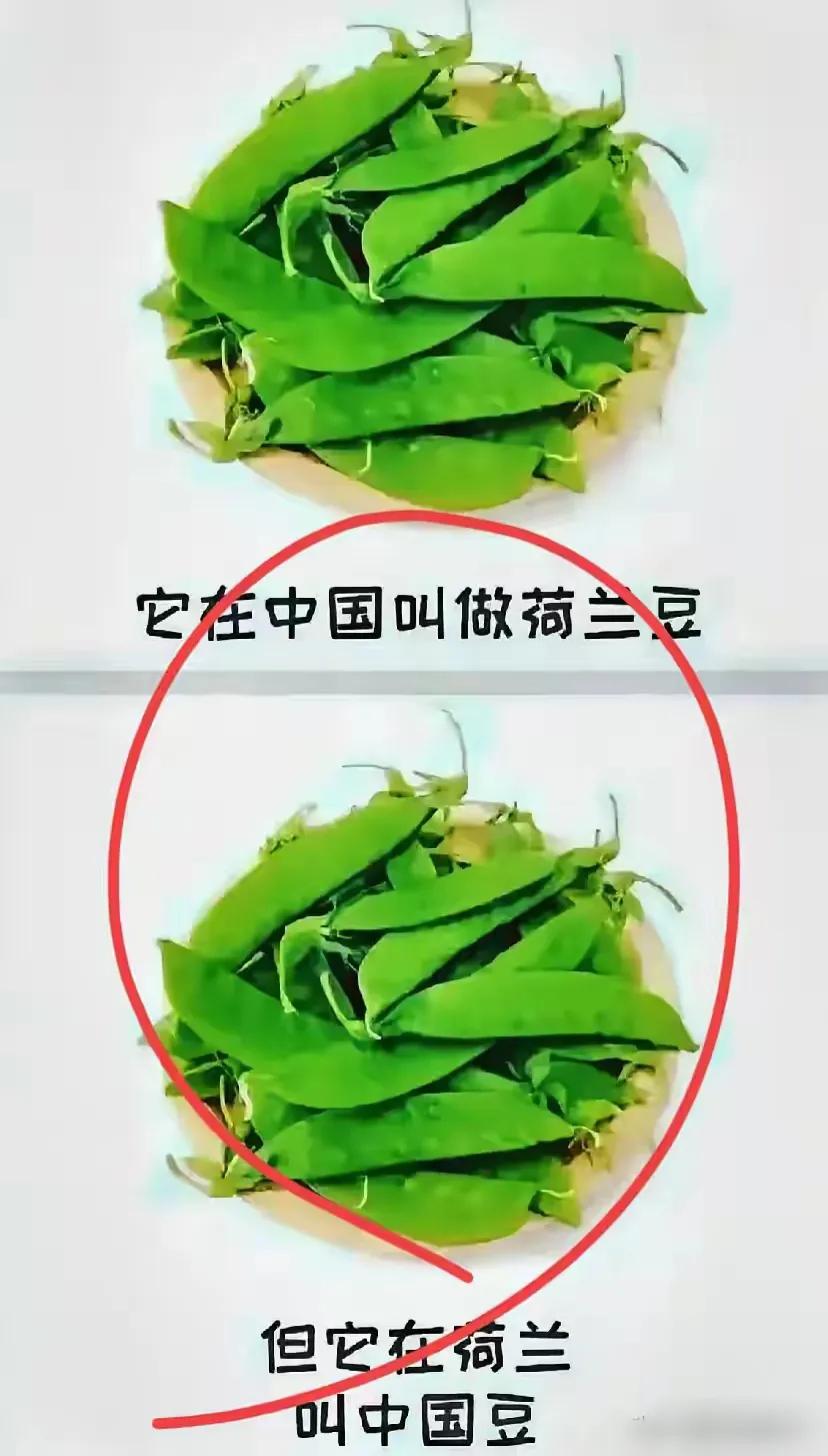 这个到底应该叫什么？[？？？]