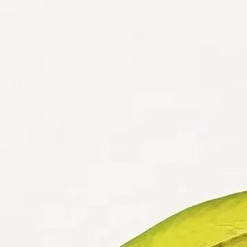 种植杨桃的种植方法一、选择地点杨桃喜欢温暖湿润的气候，需要充足的阳光。选择排水