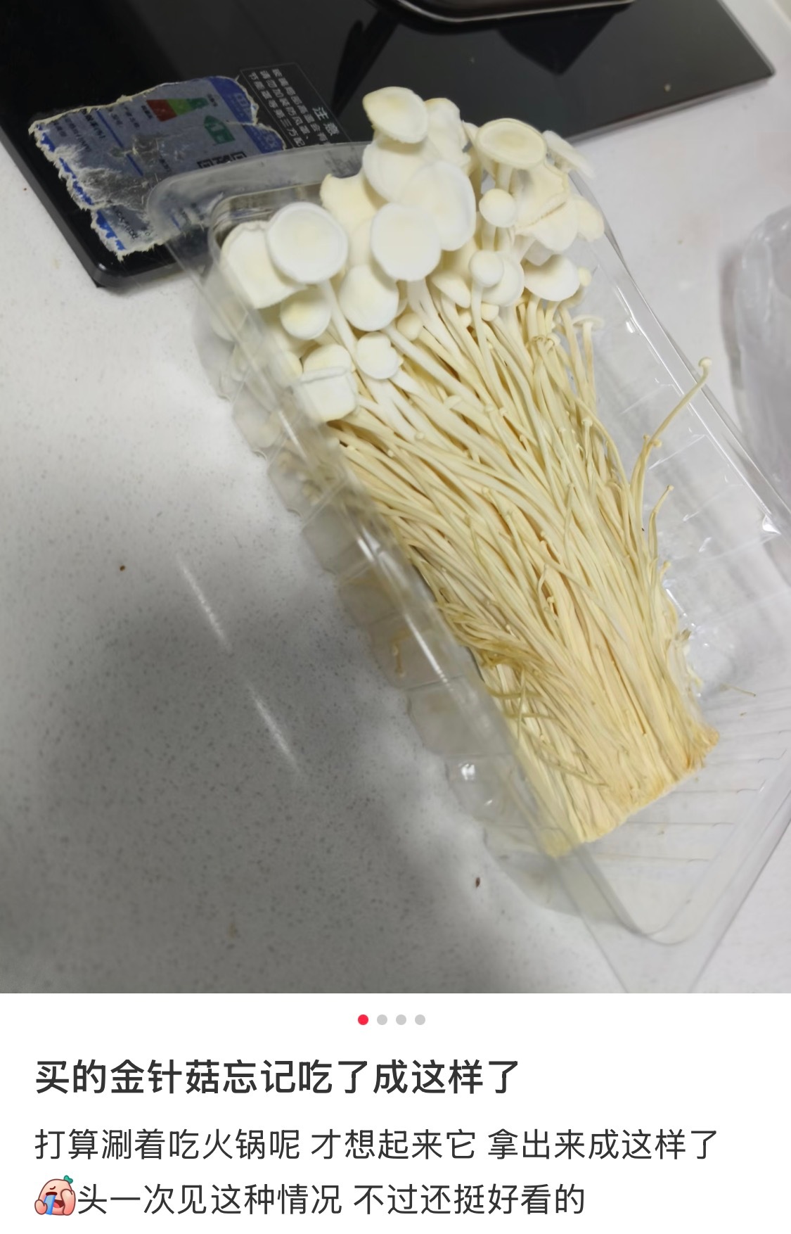 买的金针菇忘记吃自己长大了