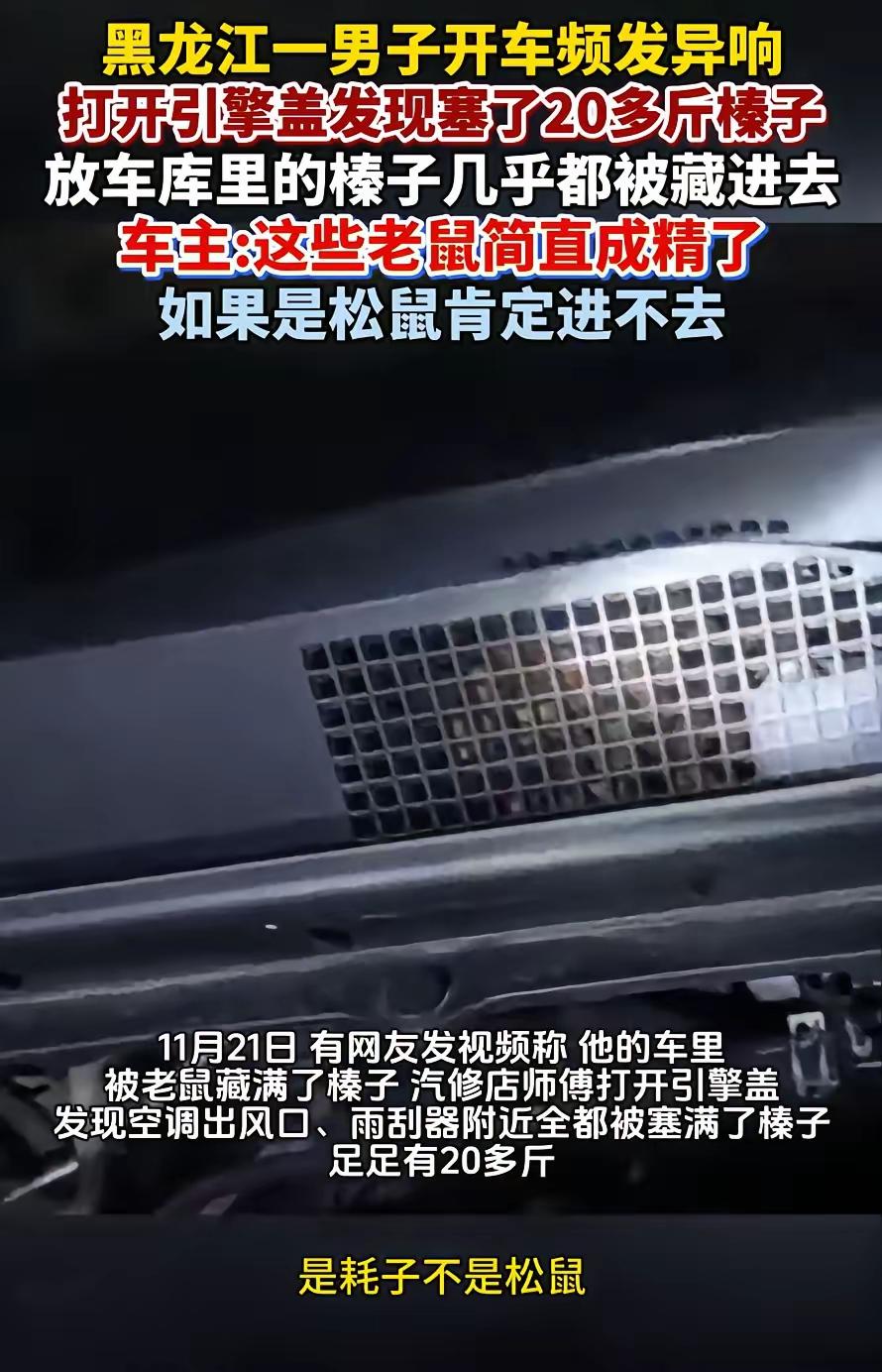 “这下解释不清了！”黑龙江，一男子开车时发现车里有异响，总觉得不对劲，于是把车开