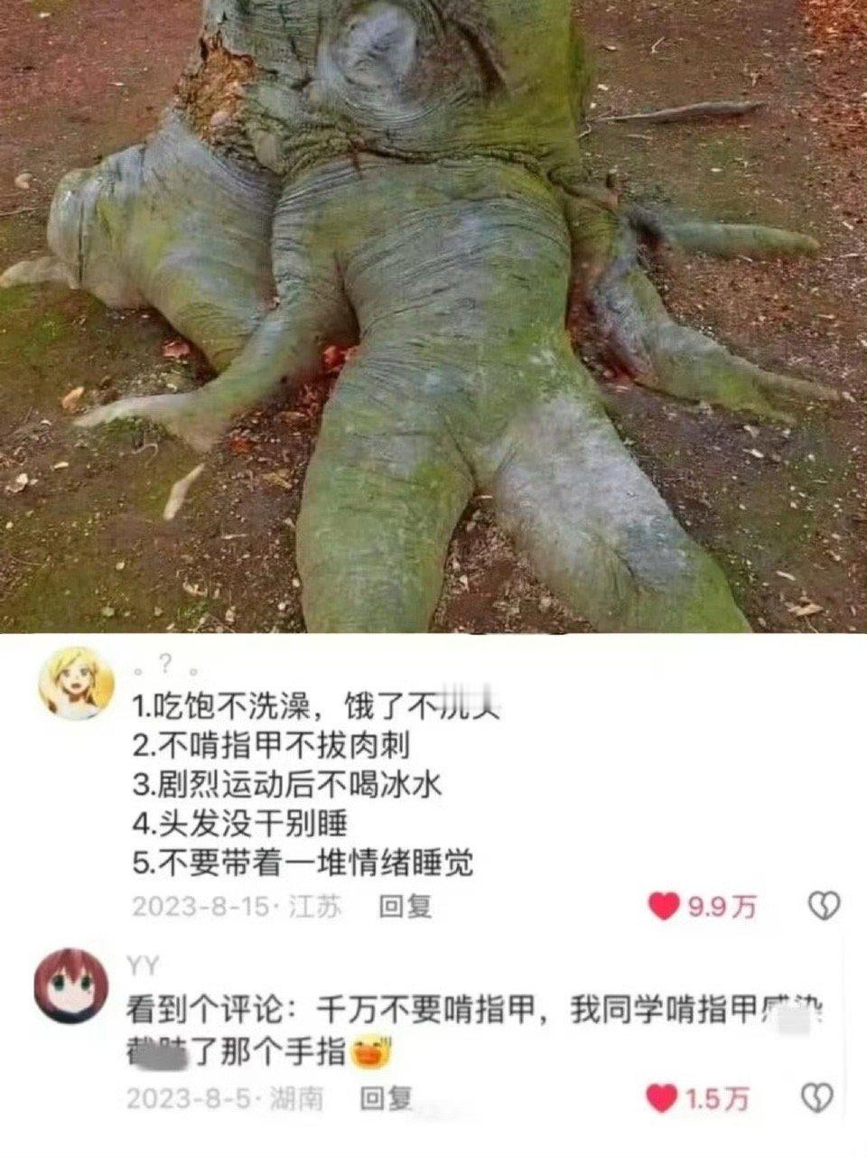 以前网友分享的冷知识才是真的硬核