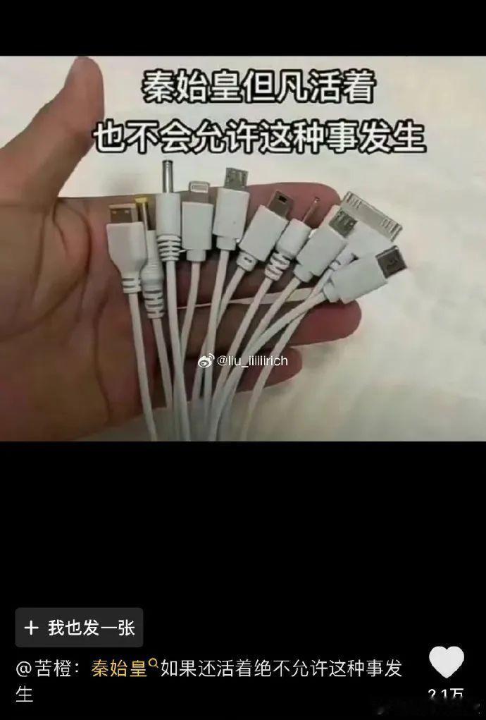 秦始皇要是还在绝对不会同意这种事情的发生内容过于真实​​​