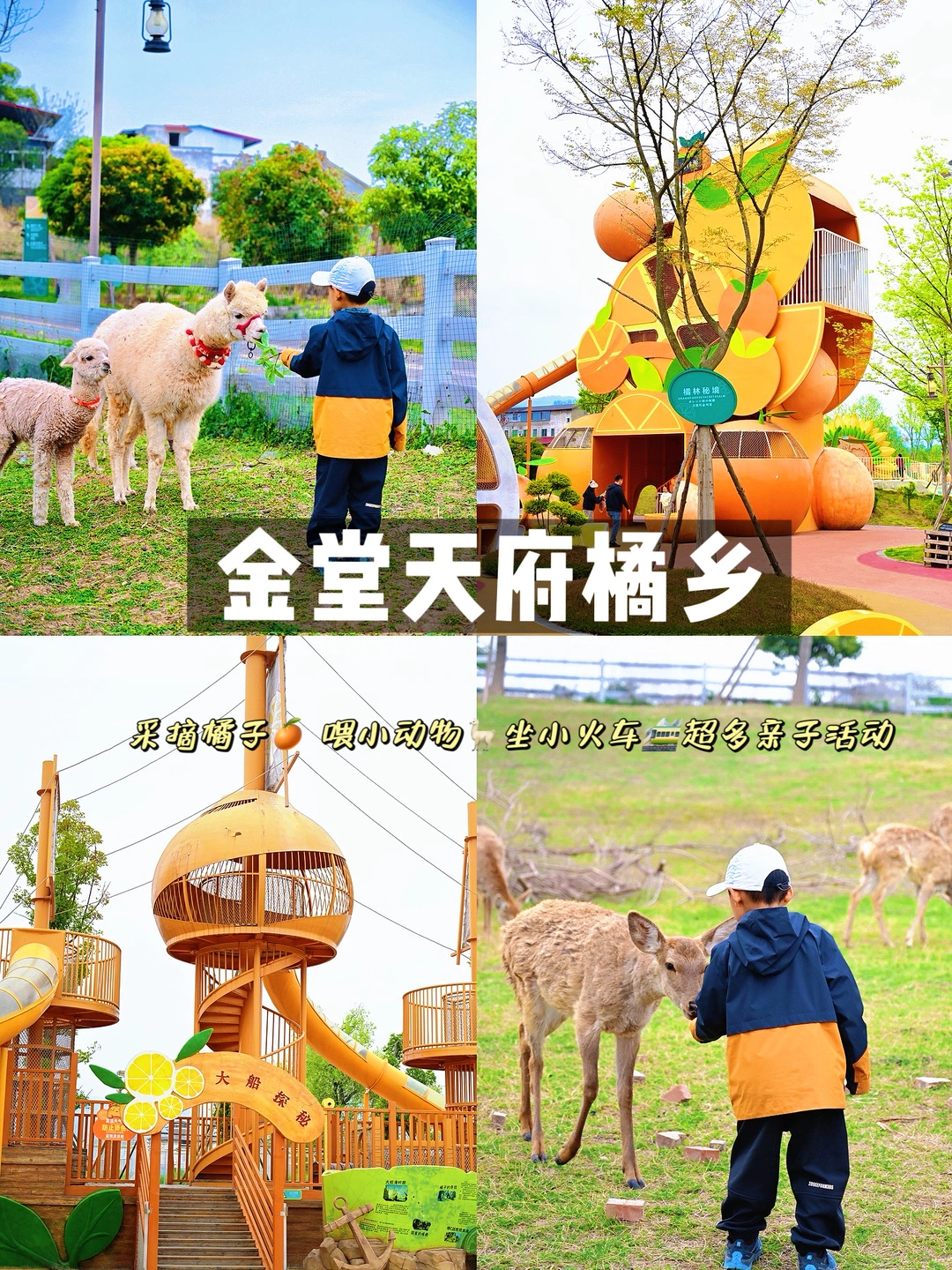 成都出发1h‼️值得二刷的小朋友快乐老家啊