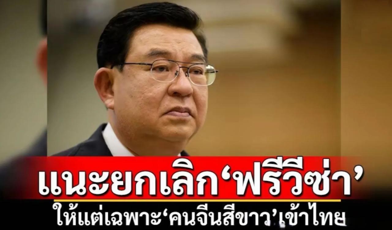 泰国媒体报道，称泰国计划取消“中国免签了”！不过，提出取消免签一事的，不是泰国方