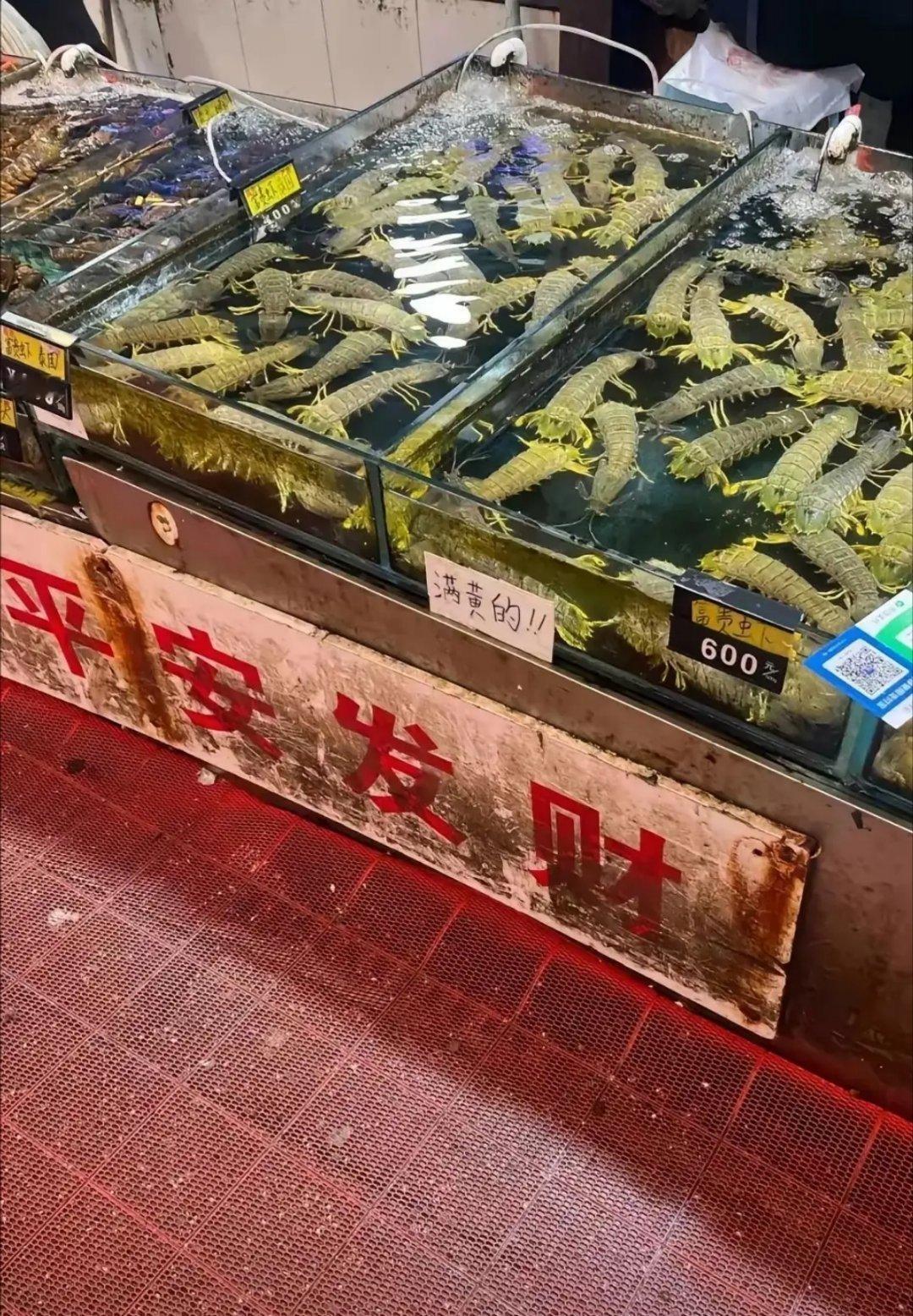 仅仅是几只虾而已，何至于弄丢一条人命呢？