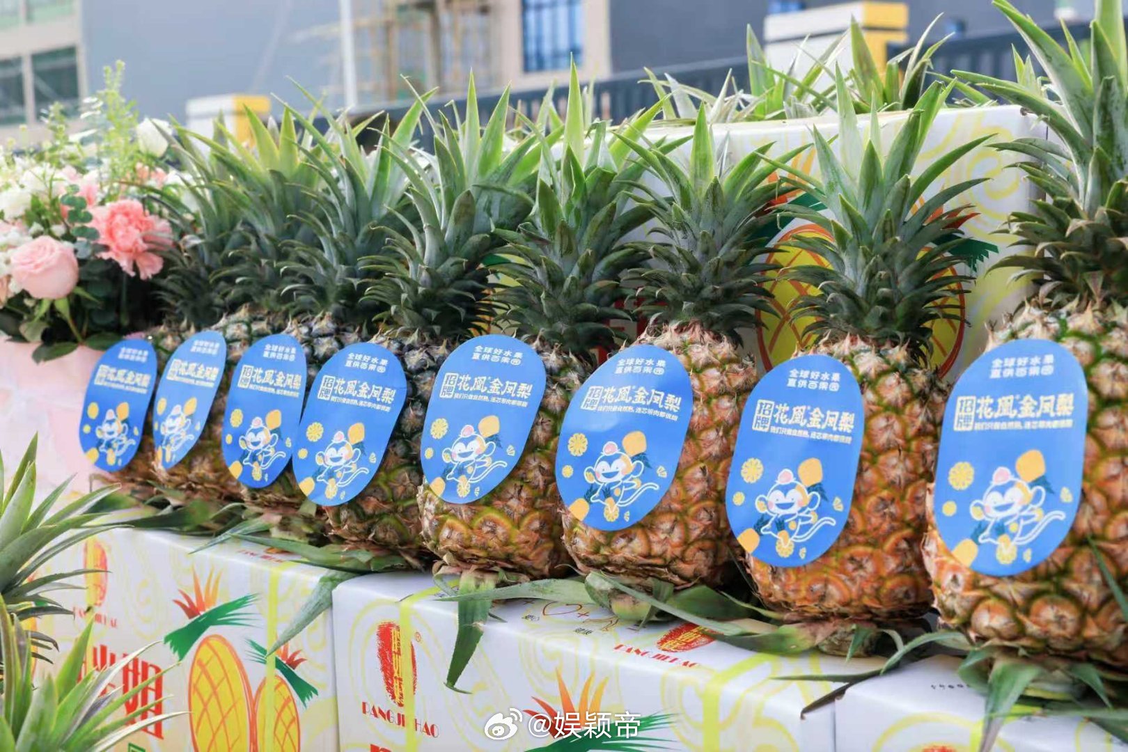 我在吃这方面的执行力上百位媒体记者与消费者代表近日齐聚海南儋州，直达凤梨种植源头