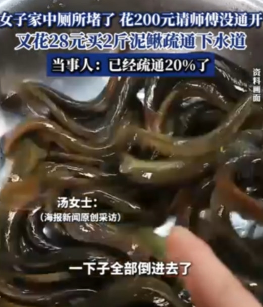 “真是个人才！”2024年，浙江衢州，一女子家里的马桶堵了好几天，花了200元请