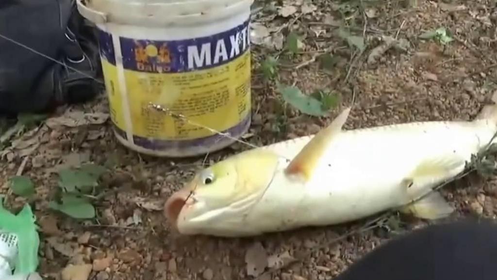 直接拉到1分30秒看吧。