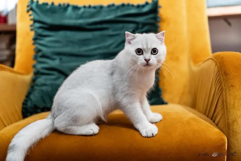 上个破班，有什么好害怕。6条反人性的职场潜规则：​1、别唯唯诺诺，释放自己弱者