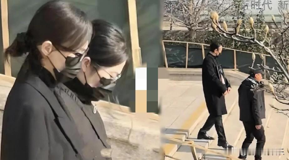 唐嫣罗晋：生死相依，谣言不攻自破2025年11月23日，北京八宝山殡仪馆内，