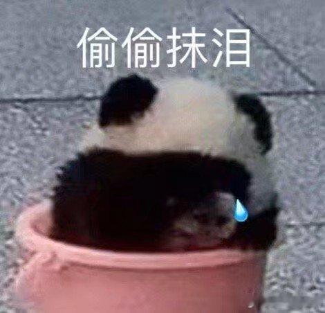 十二星座在感情里最委屈的时刻:白羊：明明没错，还要主动低头金牛：长久付出，被视作