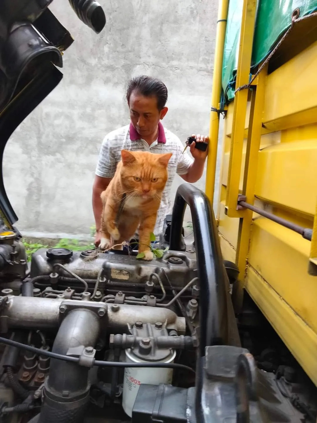 猫师傅，你到底行不行啊？