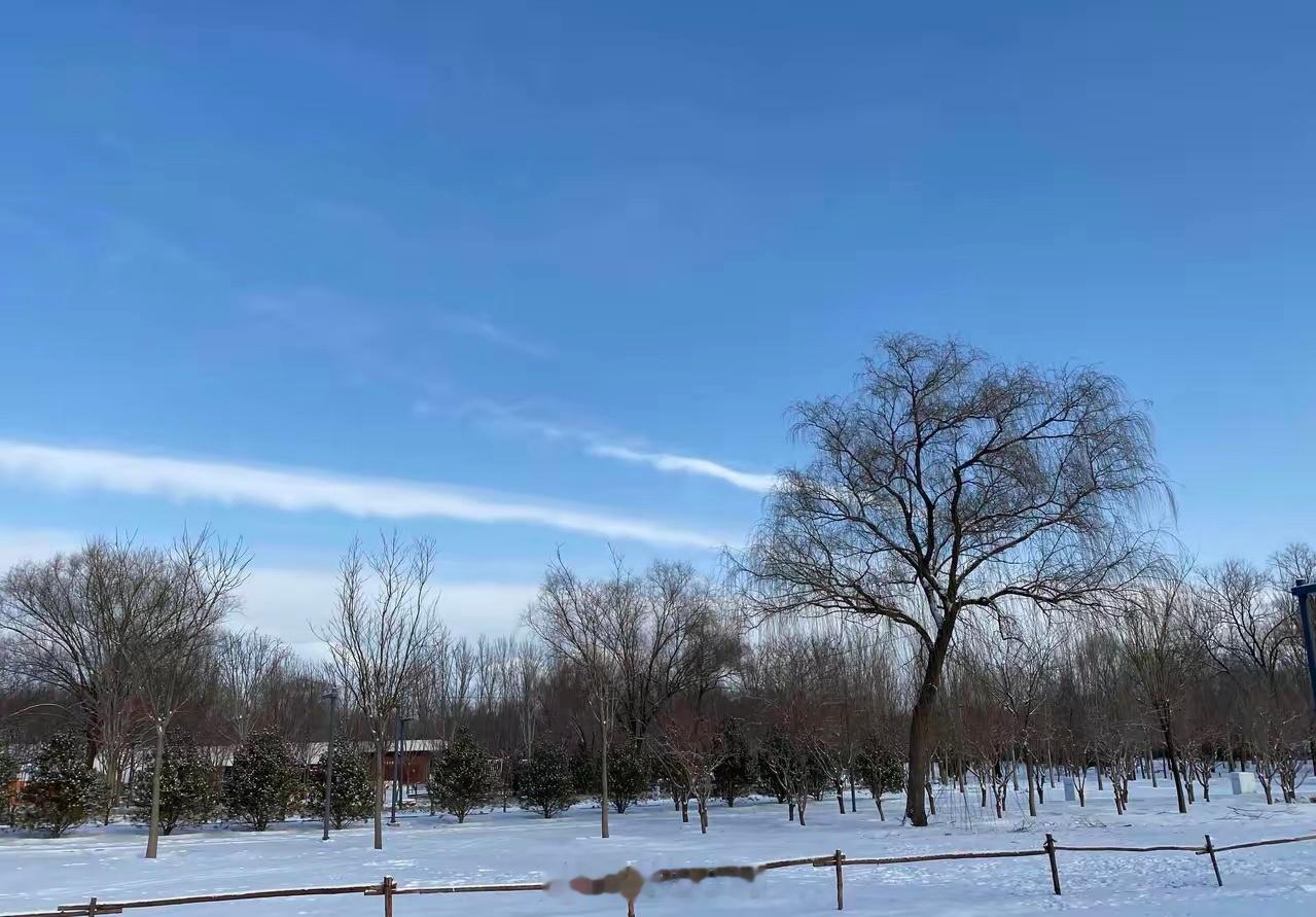 找到适合自己的交易策略：一个交易者不可能同时擅长于价值投资、成长投资、波段交易和