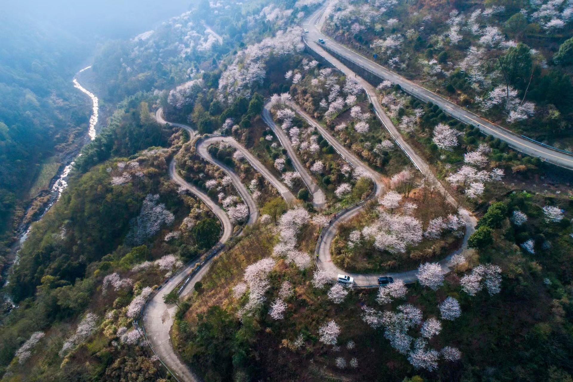 在雪窦山等个人来雪窦山千年银杏将进入最佳观赏期浙江宁波市雪窦山藏着秋日惊喜！千
