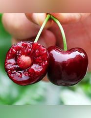 价格腰斩！50万吨车厘子涌入中国，谁把贵族水果的价格打下来？昔日“贵族水果”